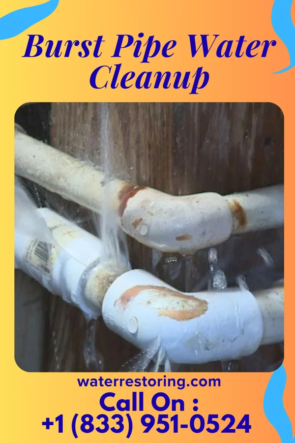 Burst Pipe Water Cleanup in Red Cloud, NE