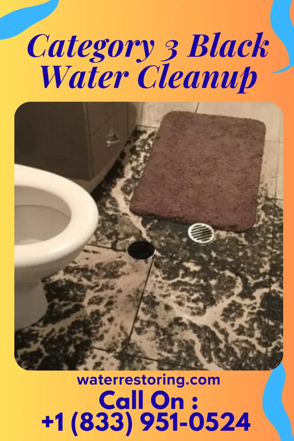 Category 3 Black Water Cleanup in Red Cloud, NE
