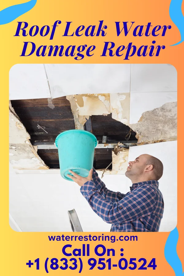 Roof Leak Water Damage Repair in Red Cloud, NE