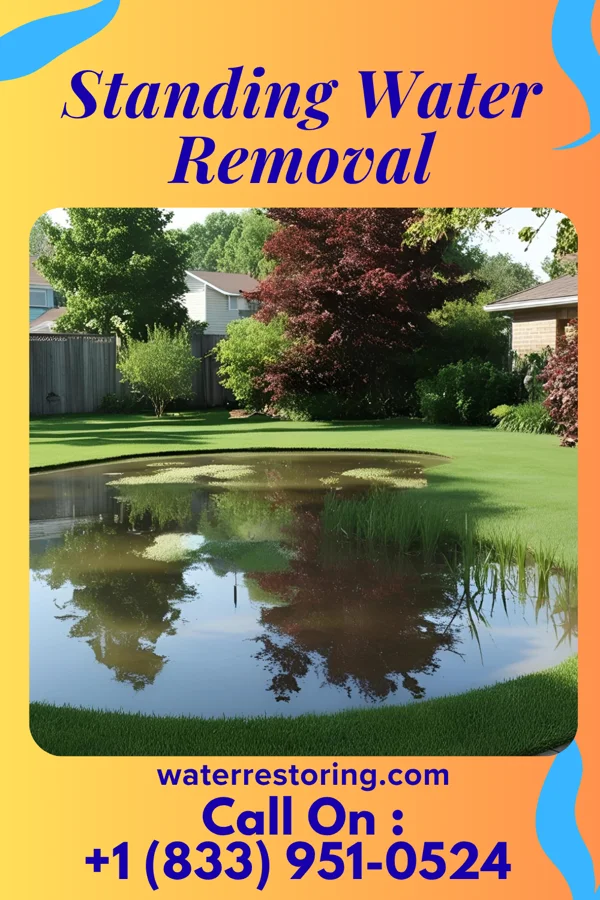 Standing Water Removal in Red Cloud, NE